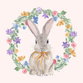Image Not Available